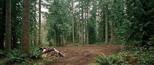 Site after demolition and clearing (service example)